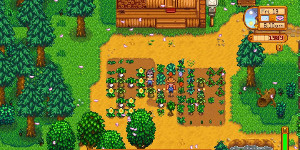 Stardew Valley